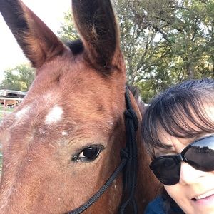 Meet your Posher, Julie